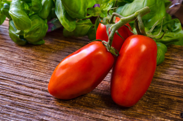 Pomodoro san marzano su tavola con basilico